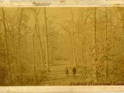 Photograph, Cabinet