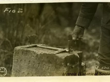 Postcard, Picture - Fig. 2