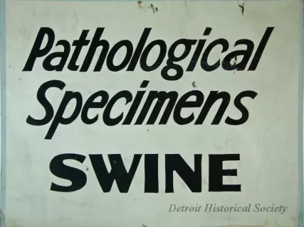 Sign, Informational - Pathological Specimens - Swine