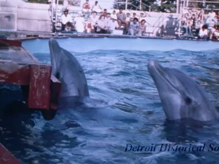 Film, Motion Picture - Aug 30 1-3 Work Print with Taped Sections - Boblo Park - On Lab Cores