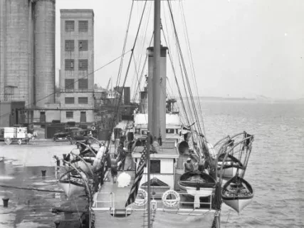 Negative, Sheet Film