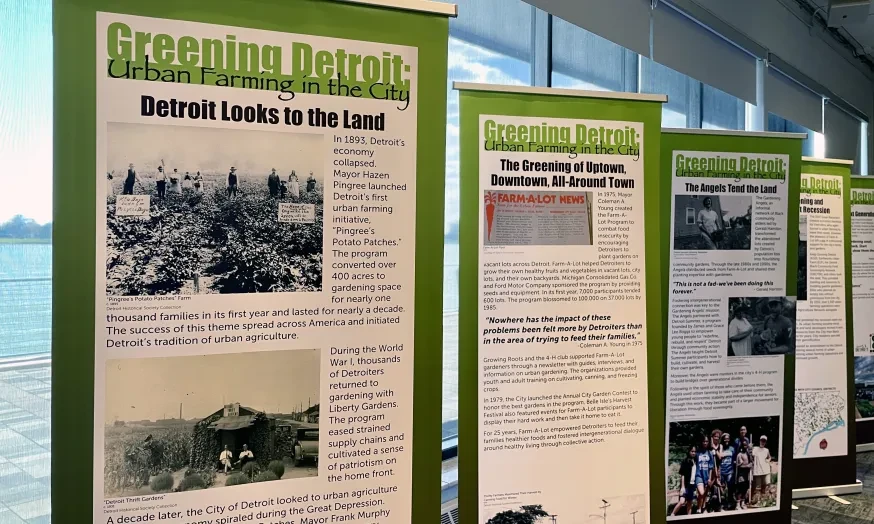 Greening Detroit close-up