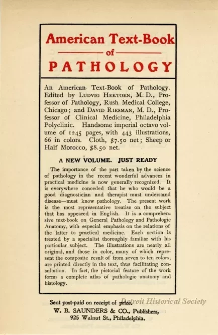 Catalog