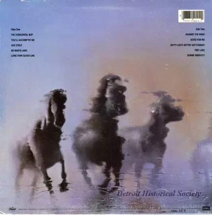 Album, Record - Against the Wind