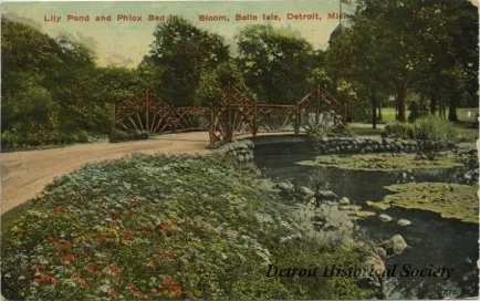 Postcard - Lily Pond and Phlox Bed in Bloom, Belle Isle, Detroit, Mich.