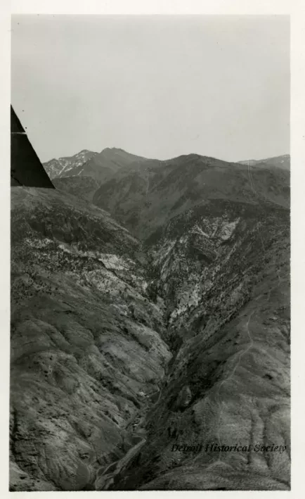 Print, Photographic