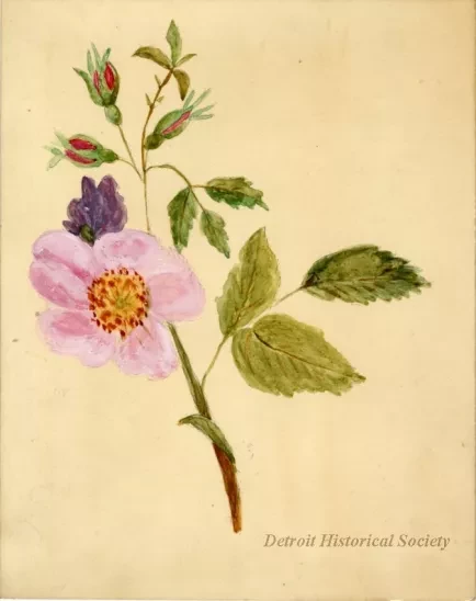 Card, Advertising