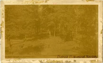 Photograph, Cabinet
