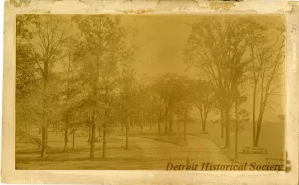 Photograph, Cabinet