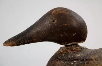 Decoy