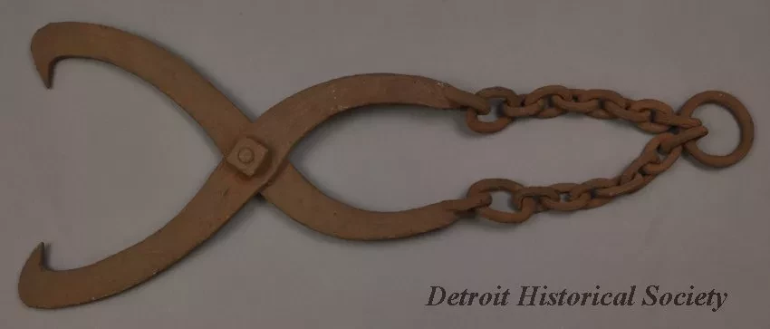 Chain, Log