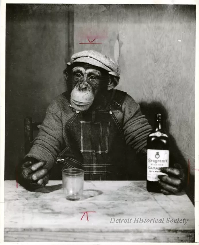 Print, Photographic