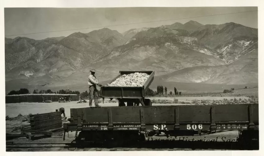 Print, Photographic