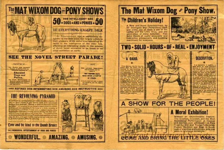 Ad, Newspaper