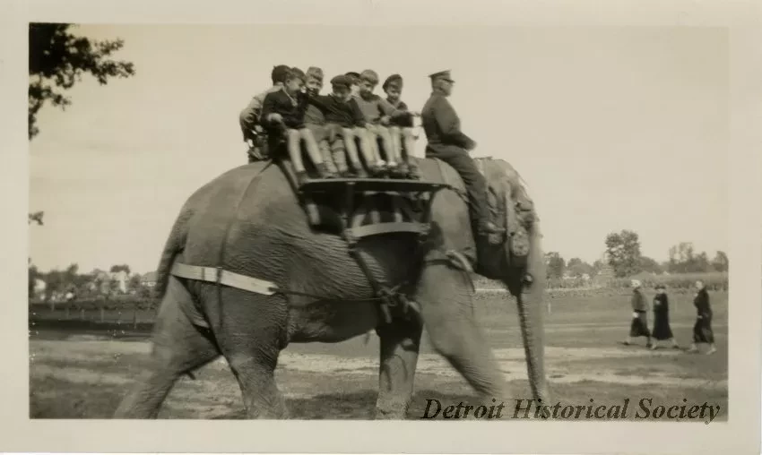 Print, Photographic