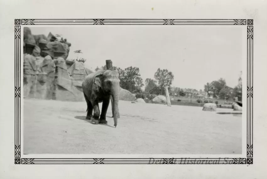 Print, Photographic