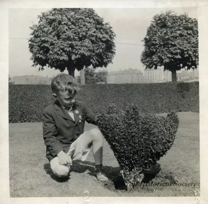 Print, Photographic