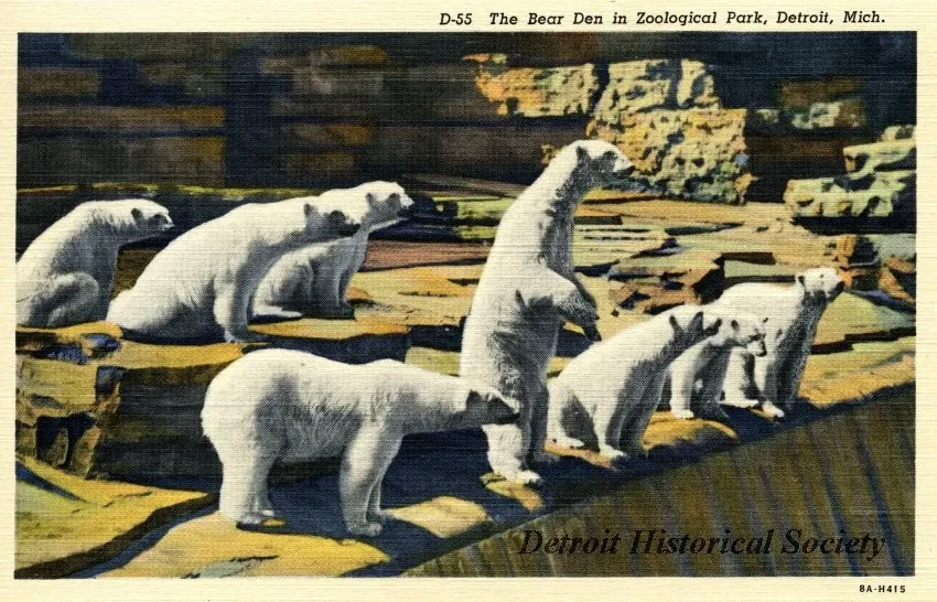 Postcard - D-55 The Bear Den in Zoological Park, Detroit, Mich.
