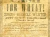 Advertisement - Cash for Wheat!