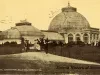 Postcard - Floral Conservatory, Belle Isle, Detroit, Mich.
