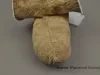 Moccasin