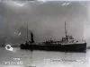Negative, Glass-plate