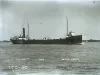 Negative, Glass-plate