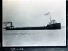 Negative, Glass-plate
