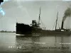 Negative, Glass-plate