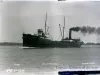 Negative, Glass-plate