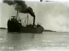 Negative, Glass-plate