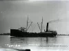 Negative, Glass-plate