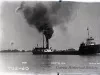 Negative, Glass-plate
