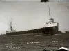 Negative, Glass-plate