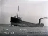 Negative, Glass-plate