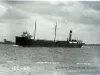 Negative, Glass-plate