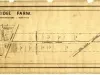 Map - Woodbridge Farm
As Divided by the Commissioners in Partition