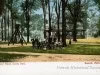 Postcard - Band Stand, Clarks Park. Detroit, Mich.