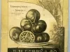 Catalog - Seed Annual 1884