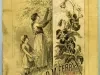 Catalog - Seed Annual 1884