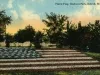 Postcard - Floral Flag, Gladwin Park, Detroit, Mich.
