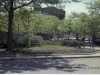 Negative, Film