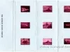 Transparency, Slide - The Detroit Edison Company