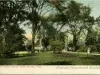 Postcard - West Grand Circus Park, Detroit, Mich.