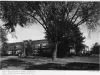 Print, Photographic - Pierce Elementary School, built 1924; Pierce Street, Birmingham, Michigan