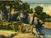 Postcard - Tiger Exhibit at Zoological Park, Detroit, Mich.