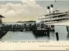 Postcard - "S. S. Tashmoo" Landing at Stag Island, Marysville, Mich.