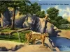 Postcard - Tiger Exhibit at Zoological Park, Detroit, Mich.
