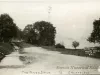 Postcard - The River Drive, Grosse Isle