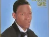 Album, record - The Marvin Gaye Collection